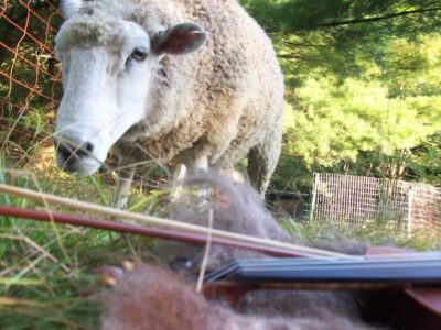 Give Fleece a Chance Image